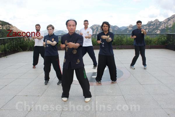 Learn Wing chun in China